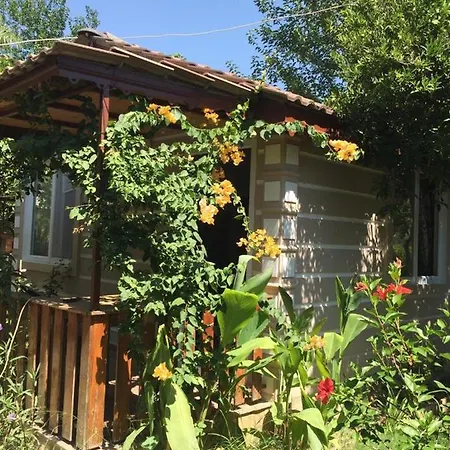 Serenity Bungalow Camyuva * Agva (Mediterranean)