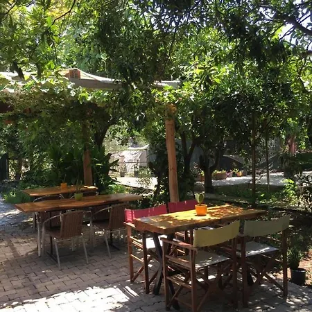 Serenity Bungalow Camyuva * 아그바