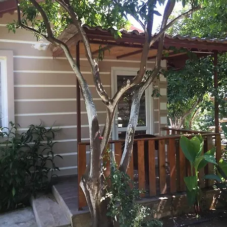 Bed & Breakfast Serenity Bungalow Camyuva